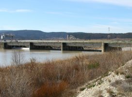 Resizing study for EDF Cadarache’s cofferdam crane